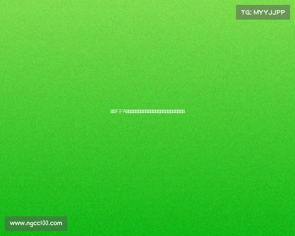 围绕FIFA世界杯转会市场的最新动态与球队引援策略深度解析篇
